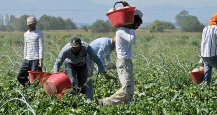 lavoro stranieri