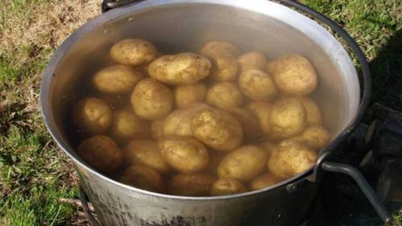 Acqua di cottura delle patate. I motivi per cui sarebbe ...