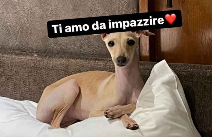 Elettra Lamborghini Nuovo Amore Tra Le Lenzuola Ti Amo Da Impazzire